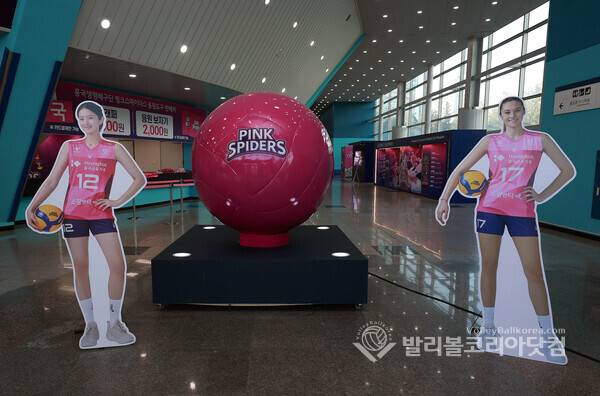 흥국생명, 설맞이 홈경기 이벤트 '올해도 흥국이 왔설' 개최...사진은 흥국생명 출입구 포토 존 모습.