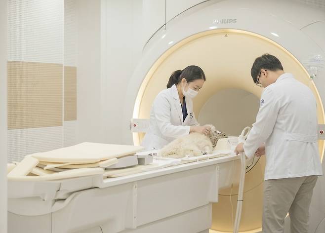 본동물의료센터 3T MRI는 높은 해상도와 빠른 스캔 속도로 마취 시간을 줄여 환자의 부담을 최소화했다(본동물의료센터 제공). ⓒ 뉴스1