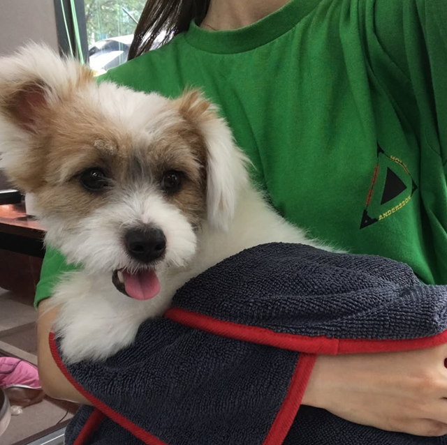 과거 침치료 받으러 갔던 호수! 보호자 제공