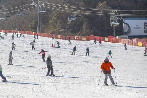광주 곤지암리조트 방문객들이 스키와 보드를 즐기고 있다.