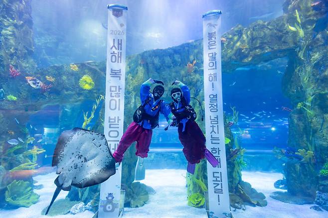 아쿠아리움 아쿠아리스트들의 수중 새해 인사. /롯데월드 제공