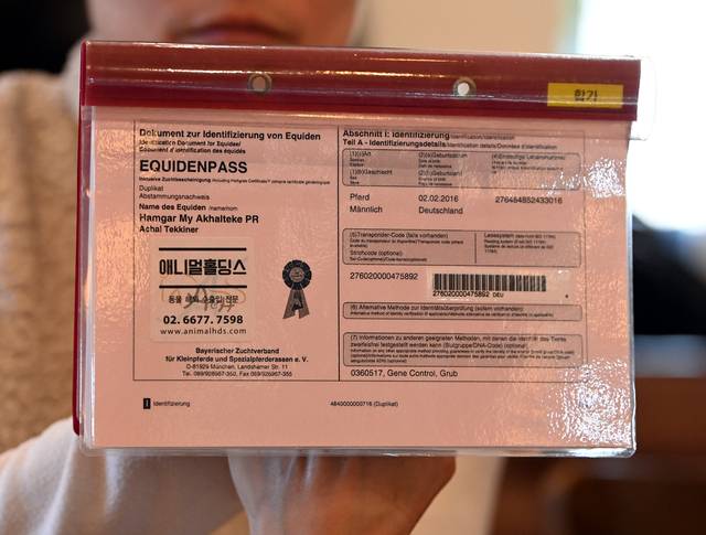 아할테케 품종을 나타내는 ‘함가’의 말 여권(Equine Passport) 사진. 박윤슬 기자