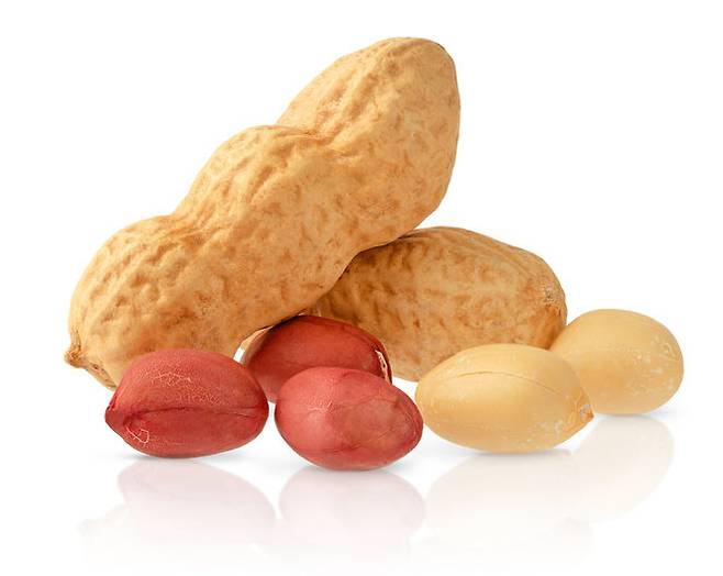 땅콩.사진=게티이미지뱅크.