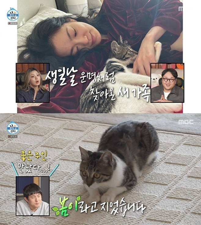 ▲ 제공|MBC '라디오스타'