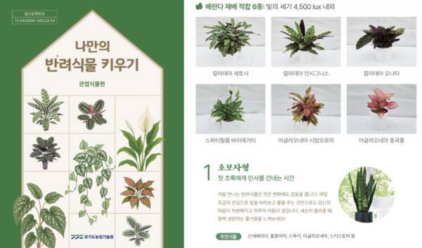경기도농업기술원의 ‘나만의 반려식물 키우기’ 매뉴얼. 나만의 반려식물 키우기 갈무리
