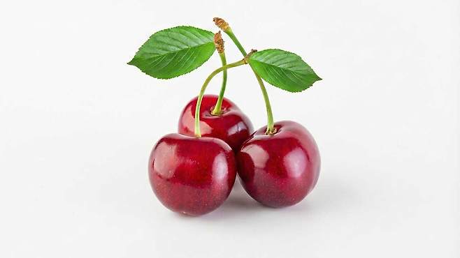 새콤달콤한 체리는 의외로 다양한 건강 효능을 갖고 있다|출처: Gemini 생성
