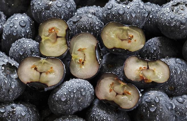 블루베리는 식이섬유, 비타민 C·K, 망간 등이 풍부한 영양 밀도 높은 과일이다./사진=클립아트코리아