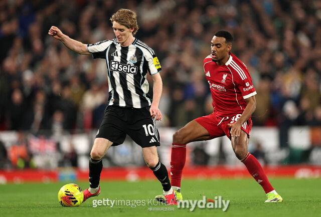 앤서니 고든/게티이미지코리아