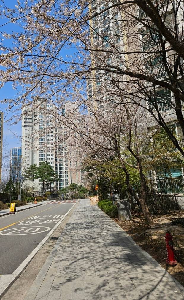 서울 성동구 왕십리뉴타운의 ‘텐즈힐 1단지’ 모습. 백주연 기자