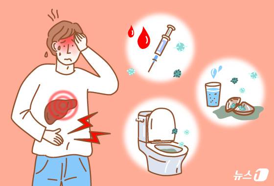 간암의 주범을 술이라 생각할 수 있지만, 간암 환자 10명 중 6명은 B형·C형 간염 같은 '바이러스 간염'을 앓고 있었다고 한다. 간암은 간세포에 발생하는 악성 종양으로 여러 개가 동시에 생기거나 쉽게 전이될 수 있다. 지난 2024년 중앙암등록본부 발표를 보면 간암은 전체 암 발생 7위였으며 남성 발병률이 여성보다 높았다. ⓒ 뉴스1 양혜림 디자이너