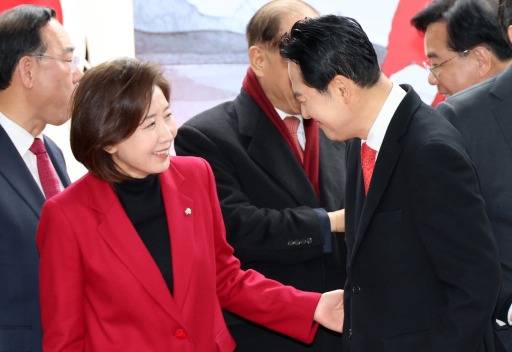 나경원 국민의힘 의원(한경DB)