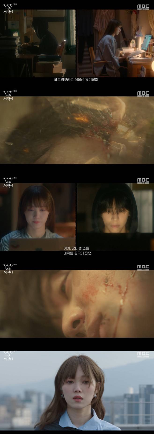 티브이데일리 포토