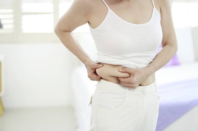 몸에 필요한 영양소가 충분하지 않으면 나잇살이 늘어나는 데 영향을 줄 수 있다./사진=클립아트코리아