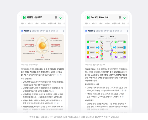 네이버 AI 브리핑 이미지형 검색 결과 예시. 사진 제공=네이버