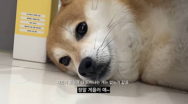 사진=유튜브 채널 ‘옥지네’ 캡처.