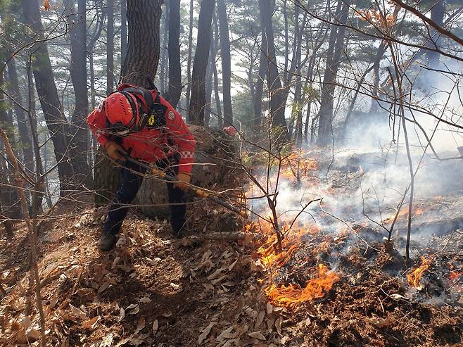 경남 함양 산불 사흘째인 23일 오전 함양군 마천면 산불 현장에서 산림청 산불재난특수진화대원들이 방화선을 구축하며 진화 작업을 벌이고 있다. 사진 산림청
