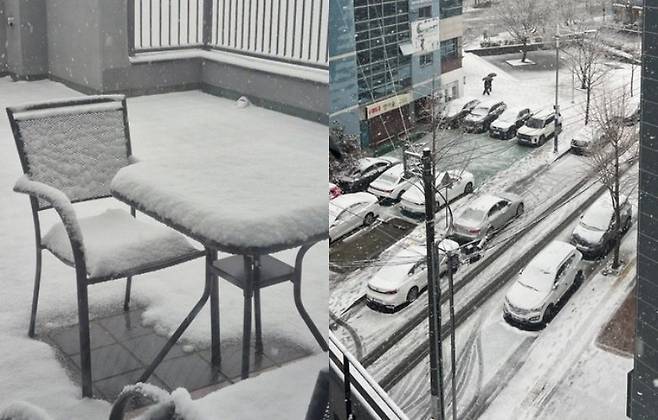 대구에 내린 눈. MLB파크 게시판