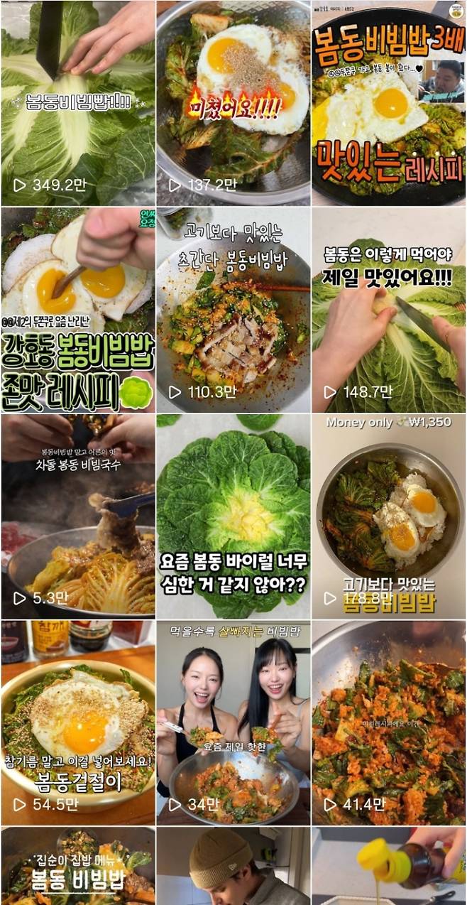 SNS에서 유행하고 있는 봄동비빔밥. 인스타그램 캡쳐.