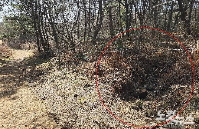 지난 22일 서귀포시 람사르습지 물영아리오름 일대가 크게 파헤쳐진 모습. 이창준 기자