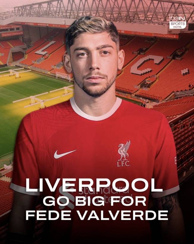 사진= 비인 스포츠