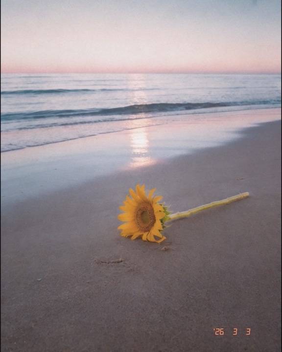 ▲ 가비엔제이 5기의 리메이크 싱글 '더 가비엔제이 : II가는 오는 3월 3일 오후 6시 공개된다. 제공|알비더블유, DSP미디어