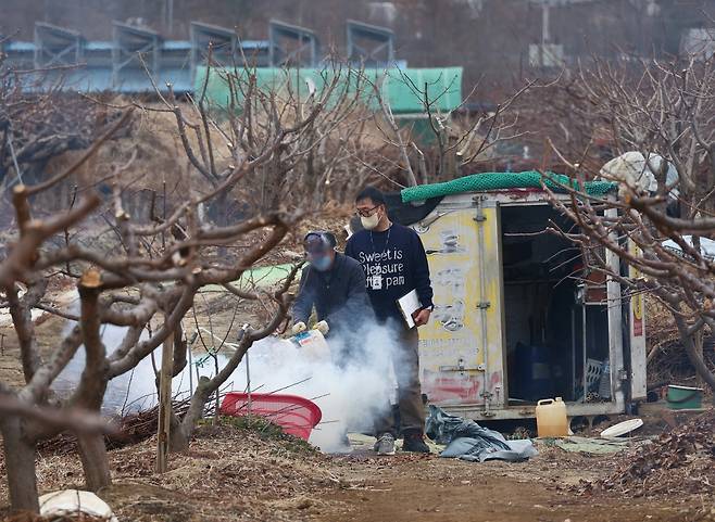 '소각 행위 안 됩니다' (대구=연합뉴스) 박세진 기자 = 26일 대구 동구 신평동 한 텃밭에서 어르신이 나뭇가지를 태우다 적발돼 불을 끄고 있다. 2026.2.26 psjpsj@yna.co.kr