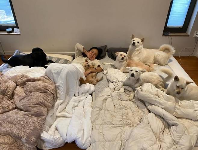 이효리 인스타그램