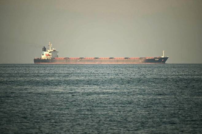 25일(현지시간) 호르무즈 해협에 위치한 해안 도시 푸자이라 앞바다에 있는 화물선 (사진=AFP)