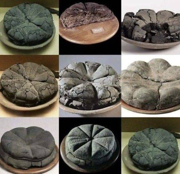 폼페이 유적에서 발굴된 수많은 빵 화석. 레딧 캡처