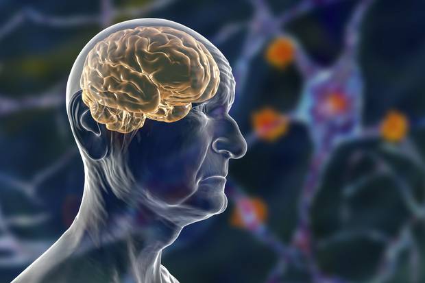 클립아트코리아