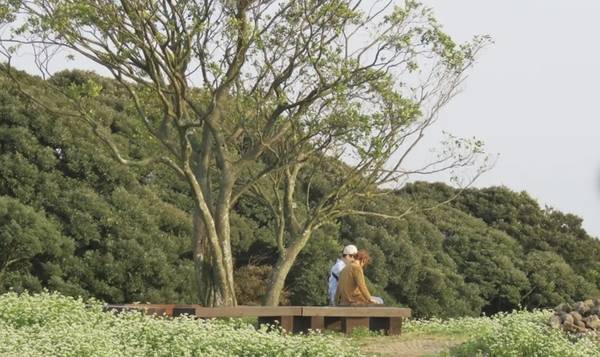 수려한 서중천 계곡을 품고 피어난 자연의 선물, 머체왓숲길. 드넓은 목장 초원을 따라 숲에 들어서면 눈앞으로 펼쳐지는 웅장한 원시림. 그 속에서 느껴지는 자연의 기운은 이곳을 찾는 모든 이들에게 치유를 선사한다. /제주관광공사 제공