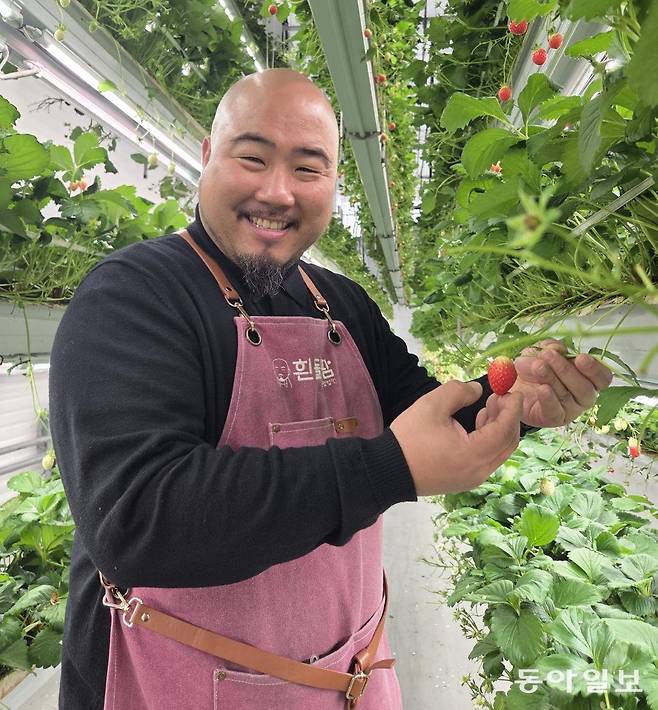 ‘딸기 농부’ 김형일 전 한국 사이클 대표팀 감독이 빨갛게 익은 딸기를 들어 보이고 있다.
이헌재 기자 uni@donga.com