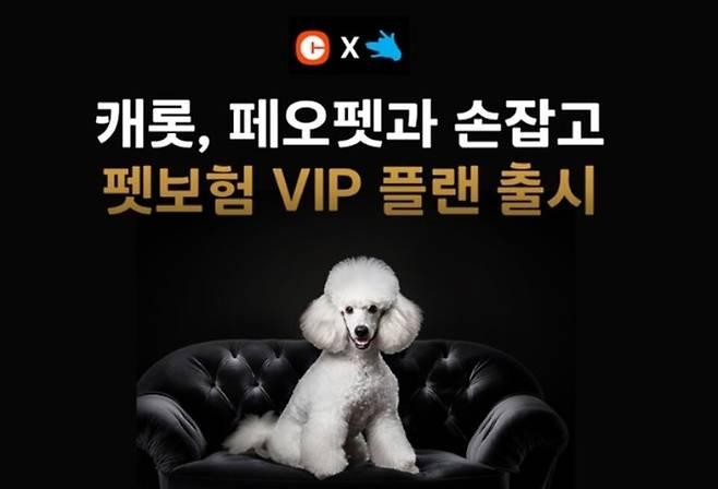 펫보험 VIP 플랜. 사진/한화손해보험