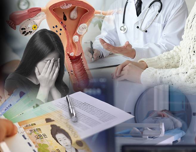 쿠키뉴스 자료사진. 그래픽=한지영 디자이너