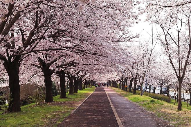 부산의 사상구. 사진제공|호텔스닷컴