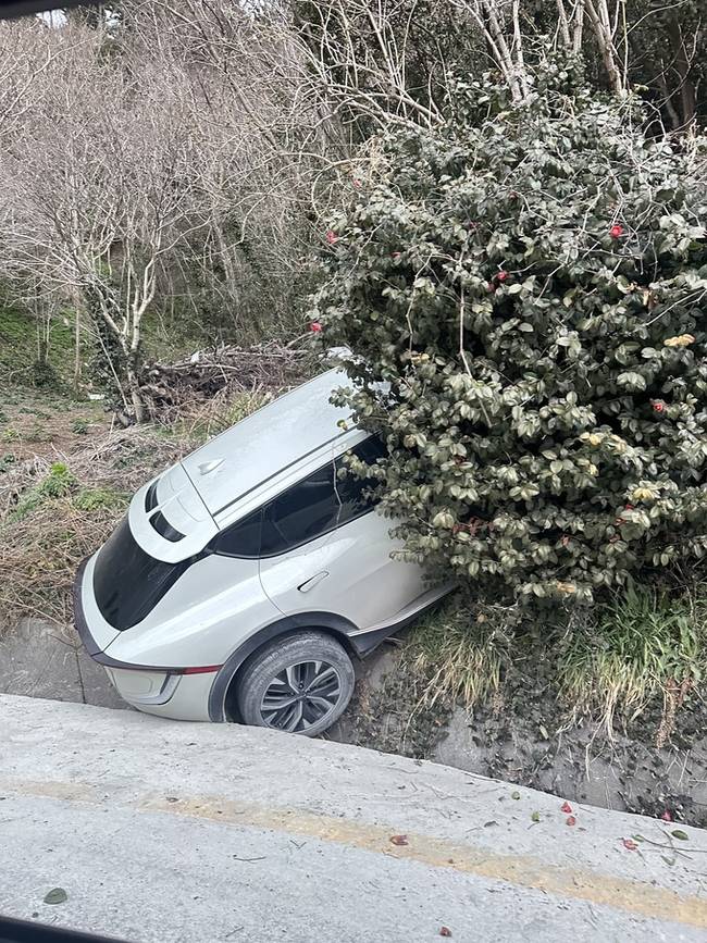 ▲ 울릉도 도심 도로에서 전기차가 산비탈을 들이받는 사고가 발생해 탑승자 2명이 부상을 입었다. 사진 독자제공