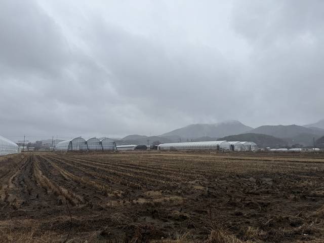 지난 2일 촬영한 용인시 처인구 이동읍 시미리 일대. 이곳에 삼성전자 국가산업단지가 들어서게 된다. 정수연 기자