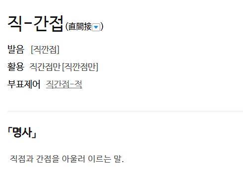 직간접에 대한 사전의 정의 표준국어대사전 캡처