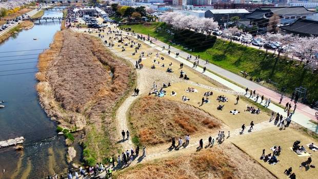 청주시민들이 2025년 무심천 벚꽃 축제를 즐기고 있다. 사진제공=청주시