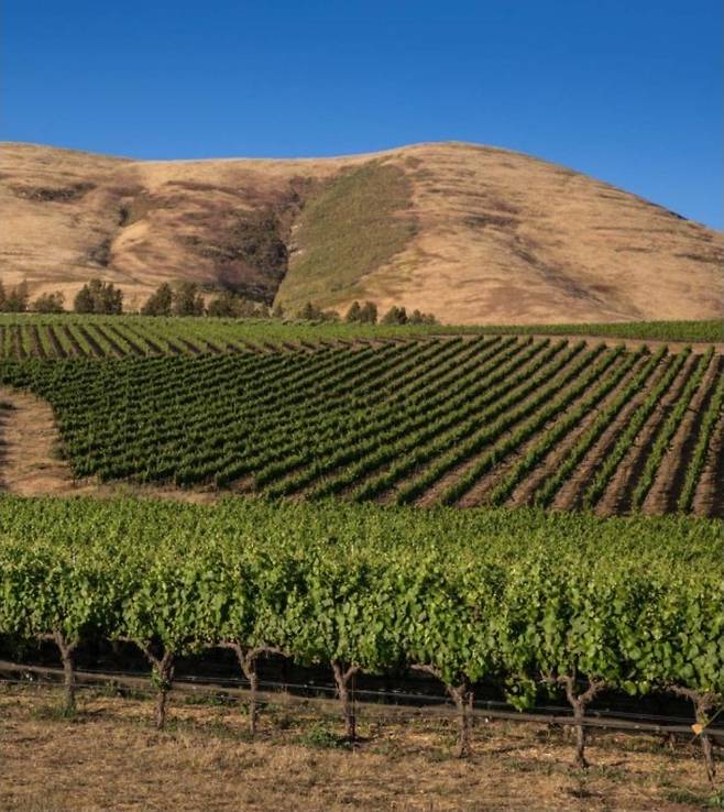 산타 마리아 밸리 비엔 나시도. 오 봉 클리마 홈페이지