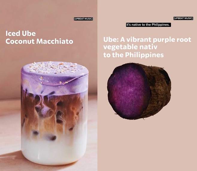 필리핀 등 동남아시아에서 재배되는 자주색 참마 ‘우베’가 인기다. 미국 스타벅스는 최근 우베를 사용한 신메뉴를 출시했다. /starbucksnews 인스타그램