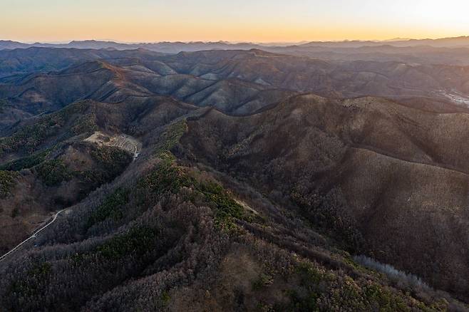 경북 산불 발생 1년 후 의성군 일대 모습. 김정훈 기자.