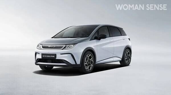 BYD 돌핀