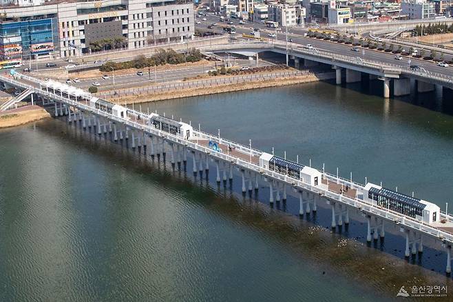 전국 최초로 다리 위에 들어선 식당. 울산시는 10일 태화강 울산교 위에서 세계음식문화관 개관식을 가졌다. 이곳에서는 베트남, 태국, 우즈베키스탄, 멕시코, 일본, 이탈리아 등 6개국의 대표 음식을 즉석에서 조리해 판매한다. 벽면과 천장까지 유리창을 달아 태화강 아름다운 풍광과 울산 도심의 야경도 함께 즐길 수 있다. 울산시 제공