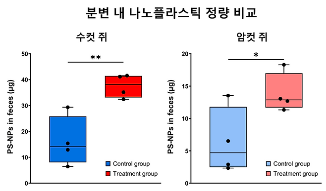 김치 유산균을 투여한 마우스 분변 내 나노플라스틱 정량 비교 이미지.