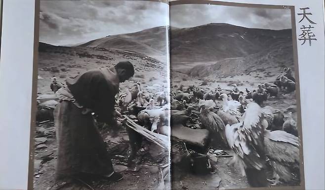 티베트의 장례풍습 천장 사진. 박하선 사진 작가 작품이다. 박 작가는 이 사진으로 2001 World Press Photo Award를 수상했다. 김성태씨 제공