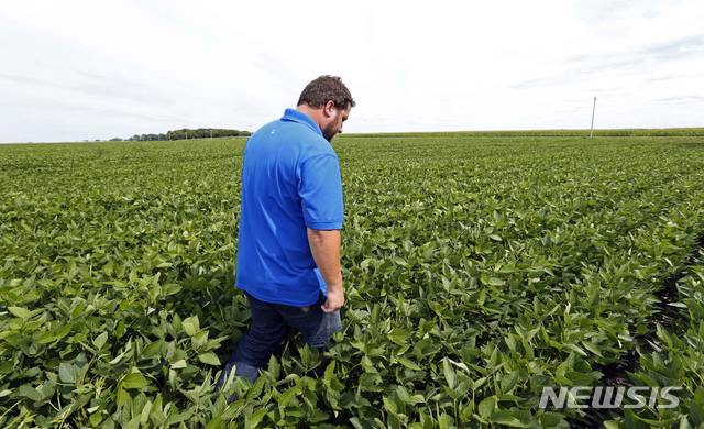 【클레어먼트( 미 미네소타주)= AP/뉴시스】 도널드 트럼프 미국대통령의 대 중국 관세 폭탄으로 중국측 보복관세 대상이 된 미국산 콩을 주로 생산하는 미네소타주의 콩 생산 농원. 미국의 주지사들은 19일(현지시간) 연례 총회에서 미국산 농축산물의 더 큰 피해를 막기 위해 두 나라가 무역전쟁을 중지할 것을 호소하면서 주 정부들의 독자적 해외시장 개척과 투자 유치대책을 논의했다. 2018.07.20