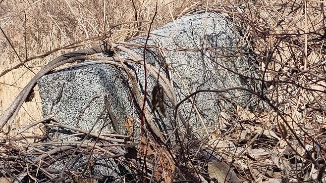 임곡천변에 남아 있는 석탑의 기단부. /김세동기자