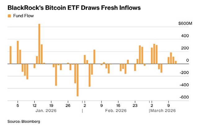 블랙록 비트코인 ETF IBIT 자금 순유출입 추이 (자료=블룸버그)