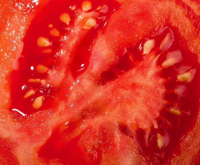 토마토, 건과일, 콩, 다크 초콜릿은 잠 자기 전에 섭취하면 숙면이 어려울 수 있다. /클립아트코리아